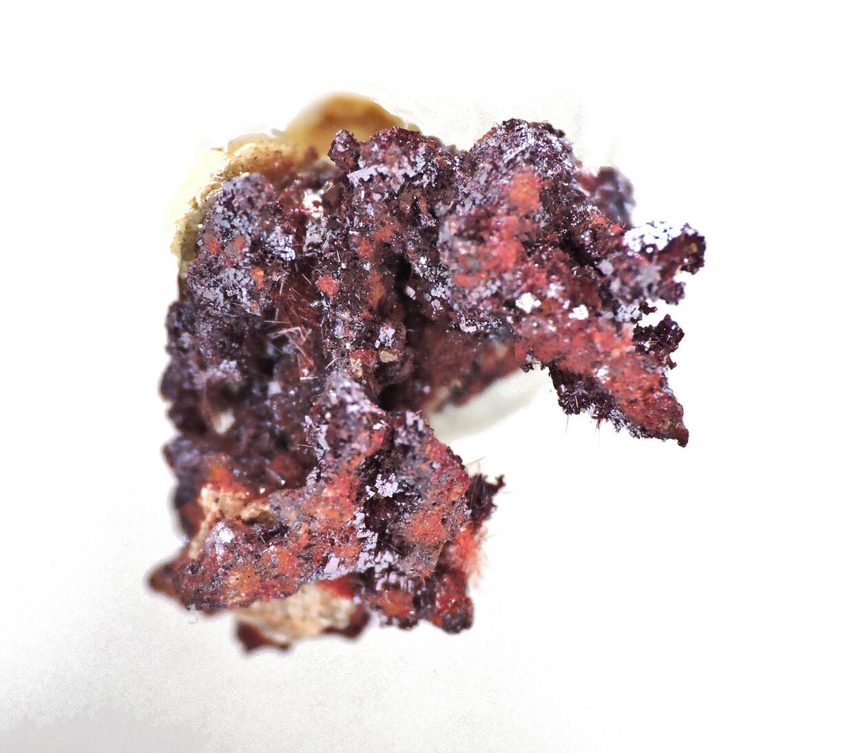 Chalcotrichite On Cuprite