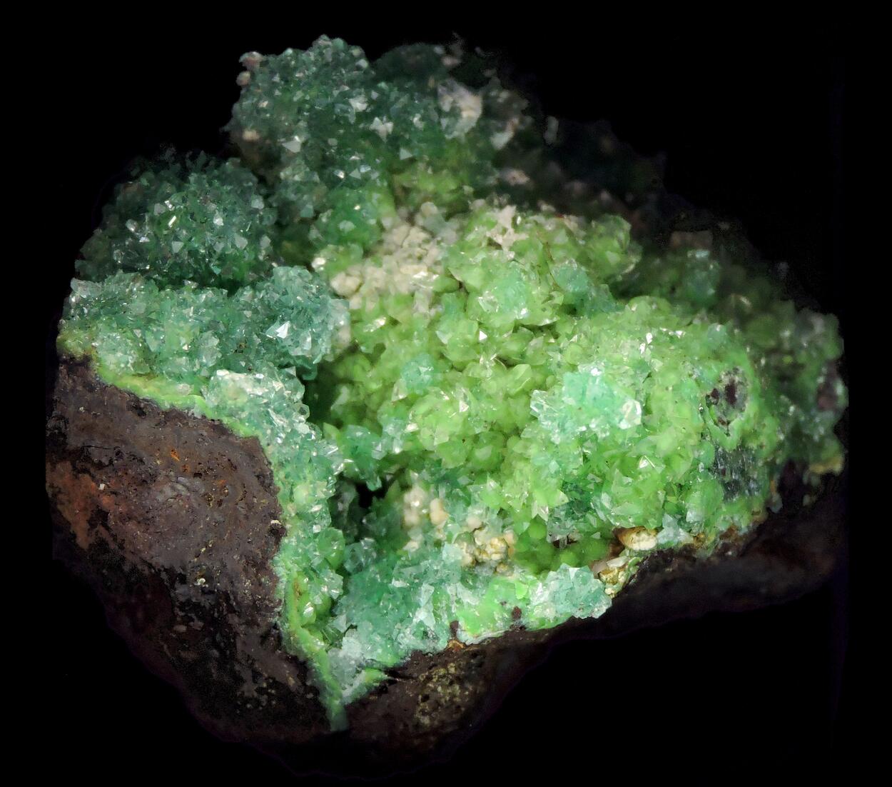 Adamite & Calcite On Conichalcite