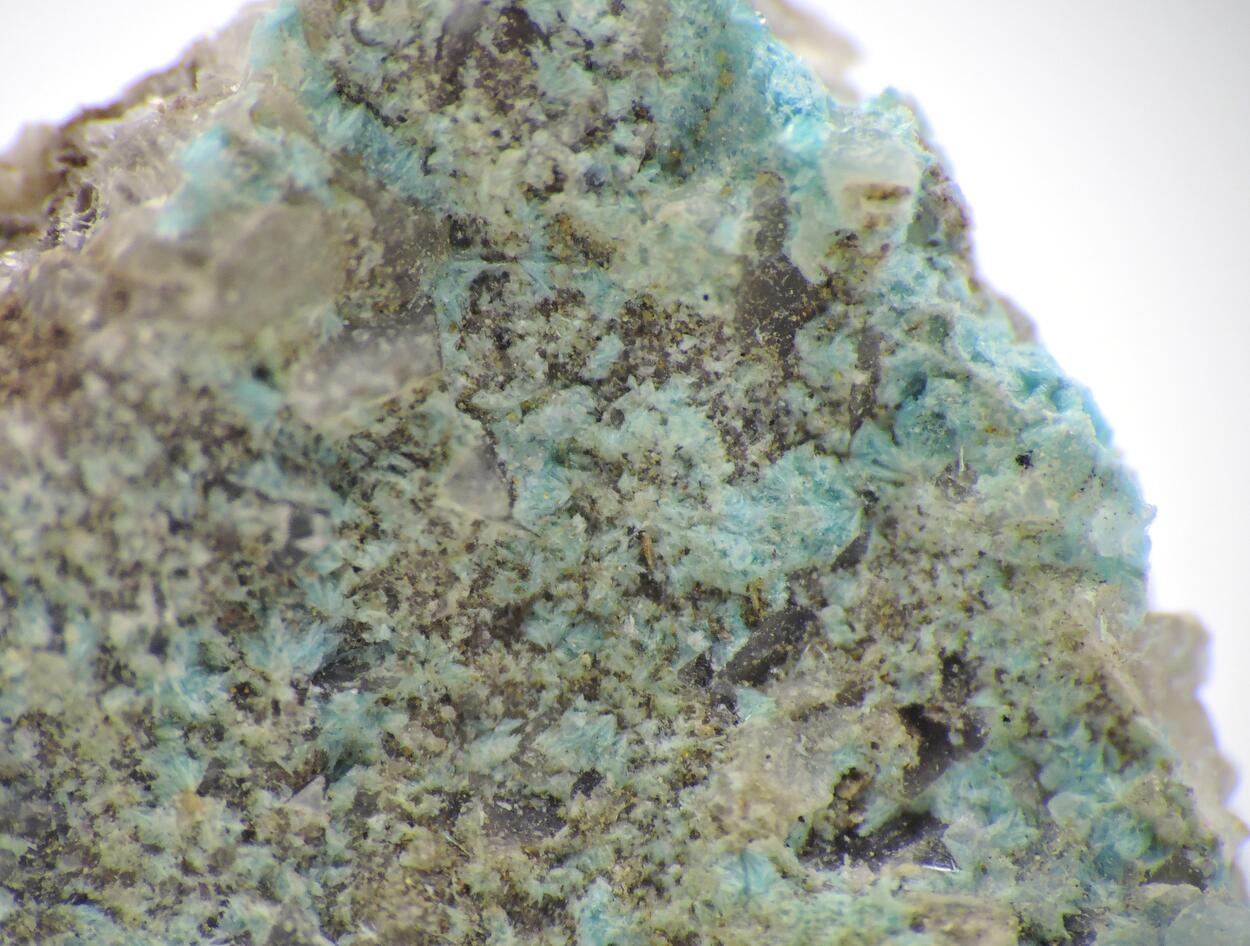 Cavansite