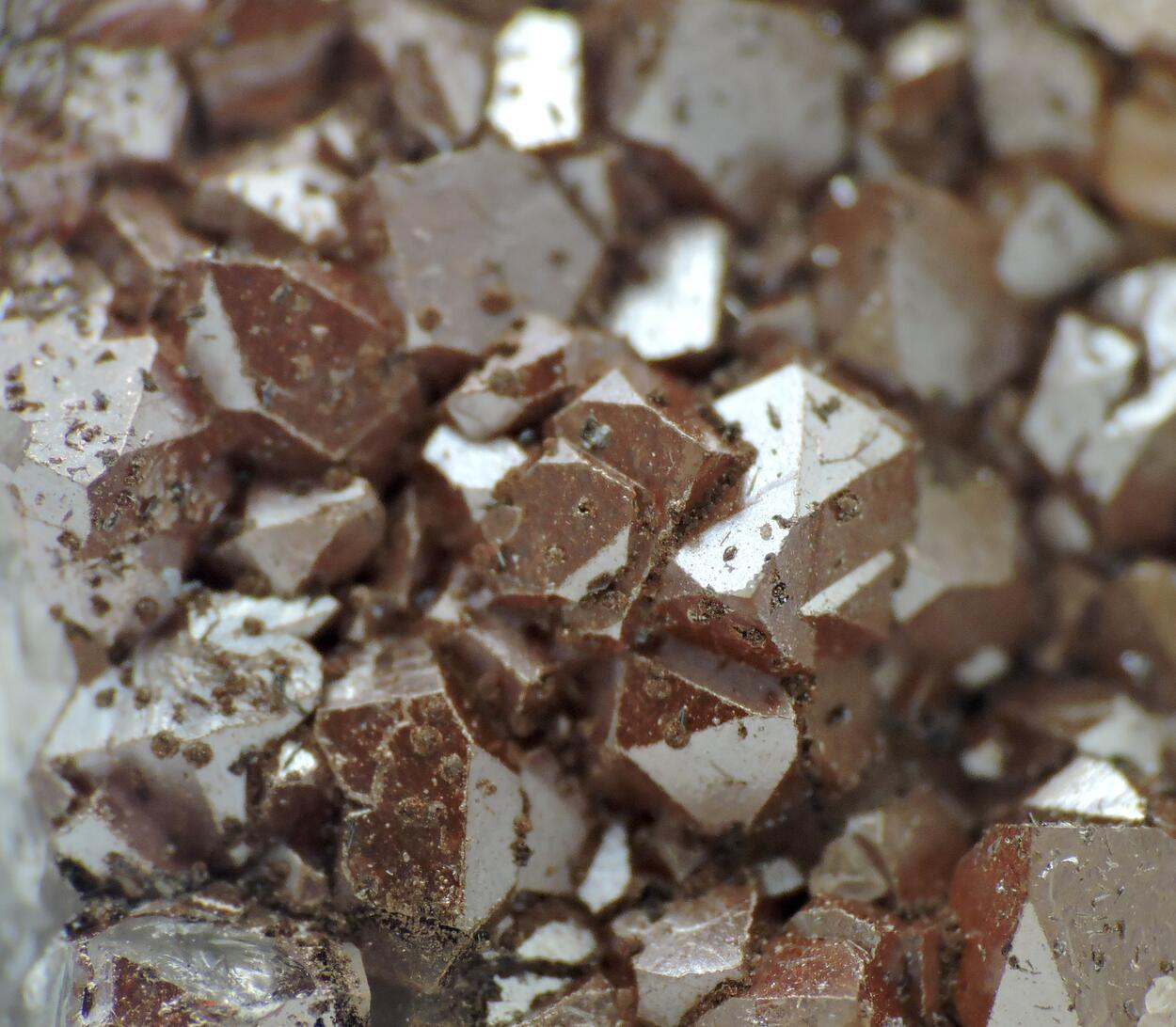 Anglesite Psm Galena