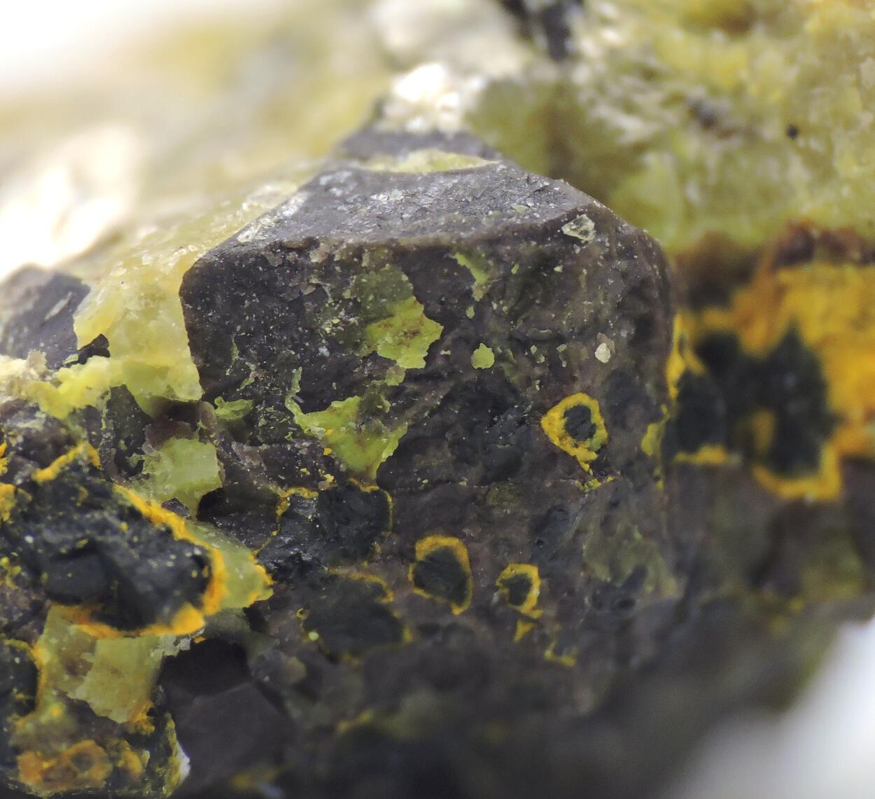 Uraninite & Gummite
