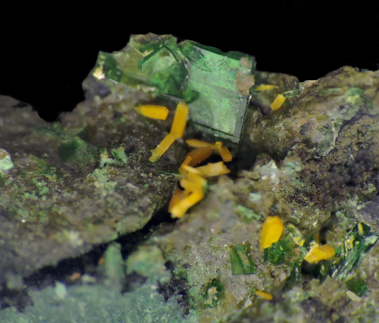 Kasolite & Metatorbernite