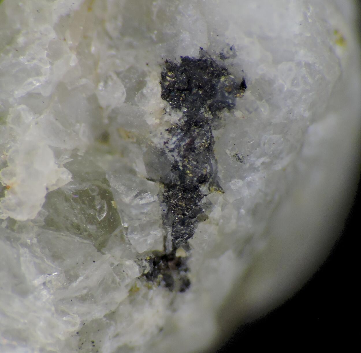 Sylvanite With Coloradoite & Gold