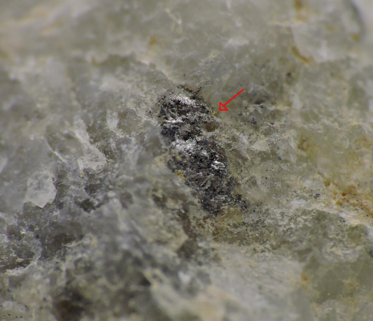 Sylvanite With Coloradoite & Gold