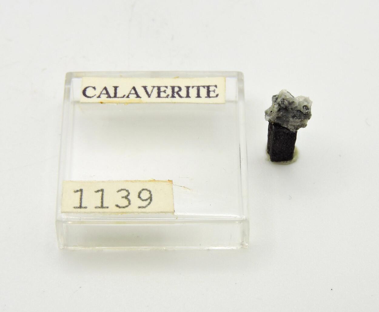 Calaverite