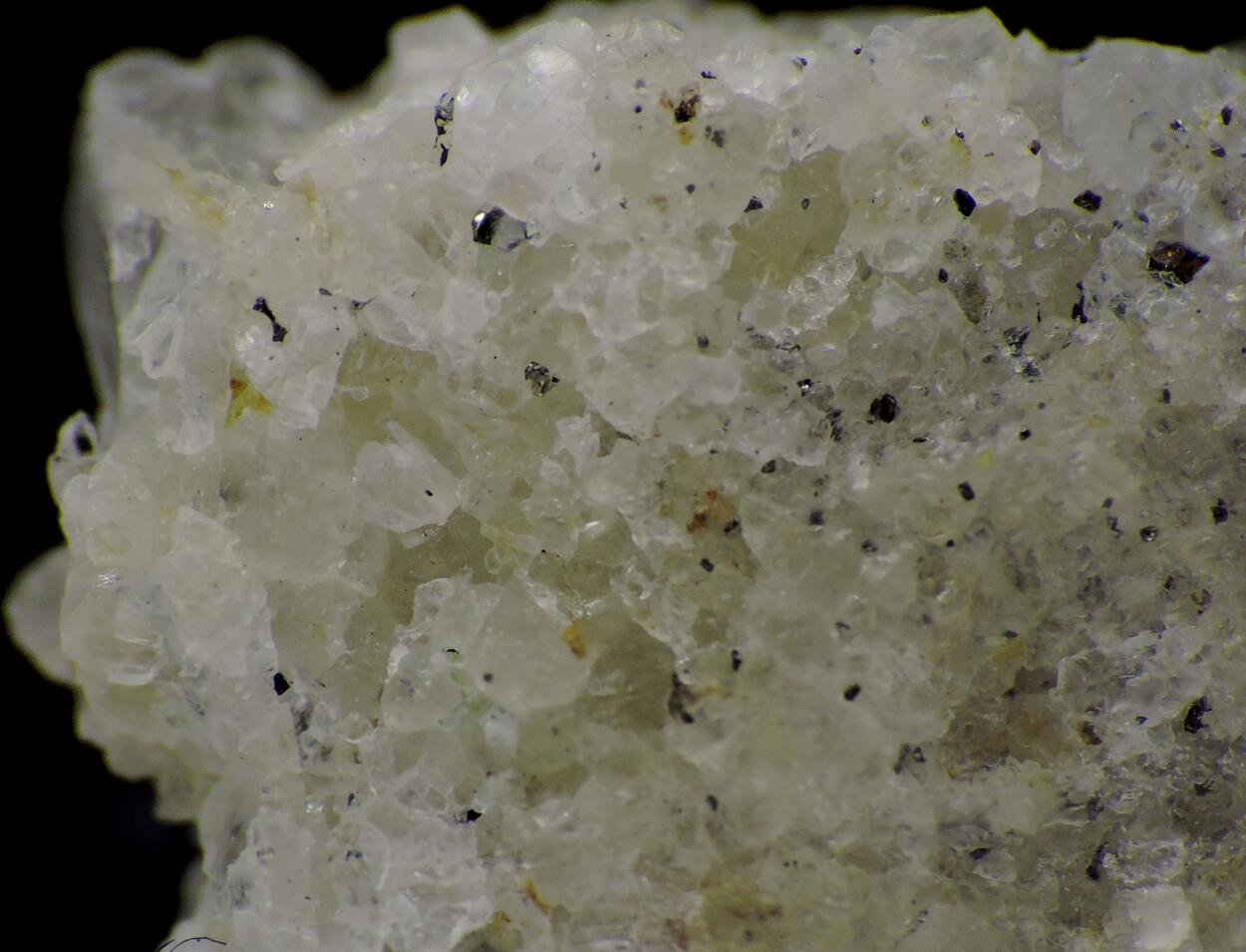 Muirite & Traskite On Sanbornite