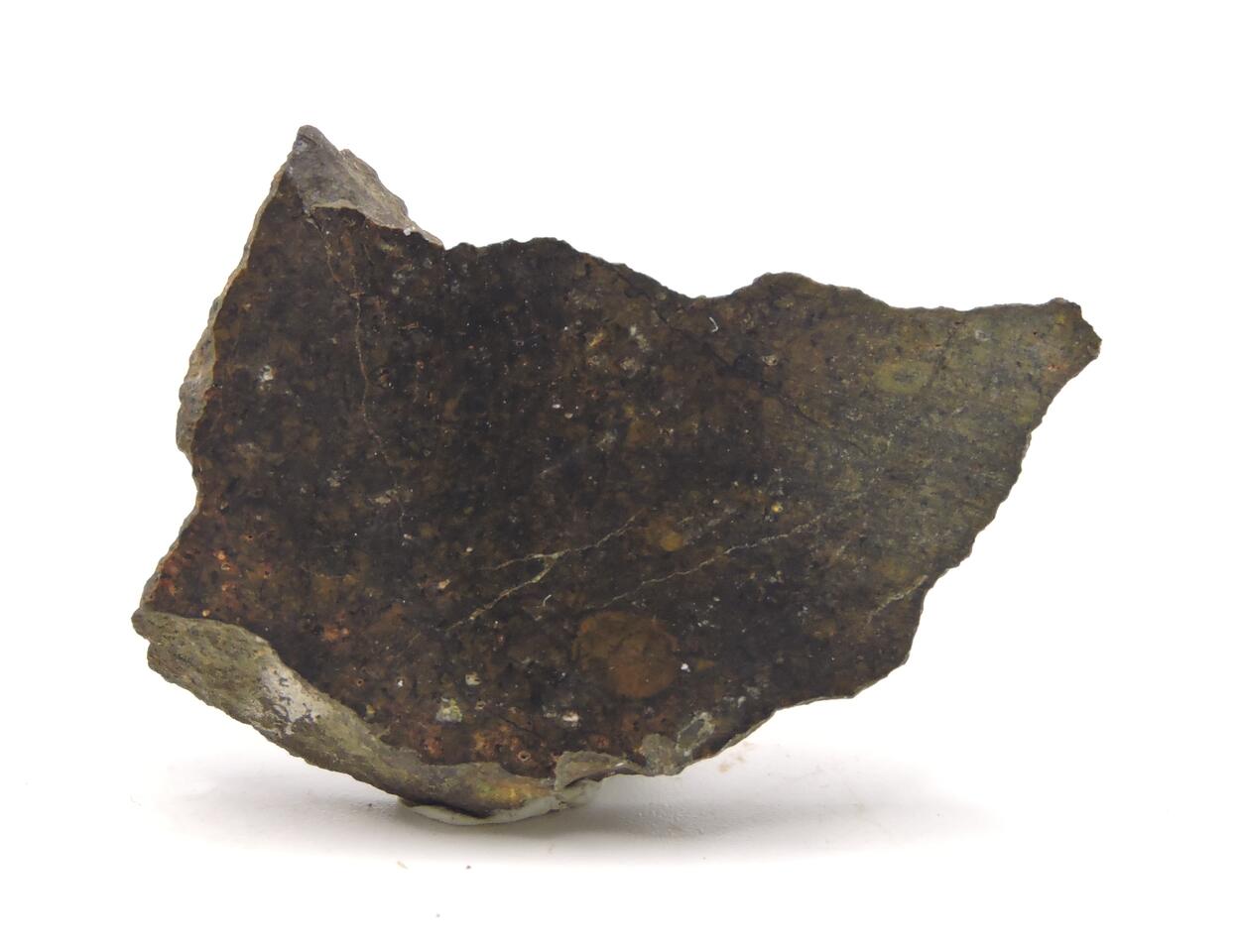 Meteorite