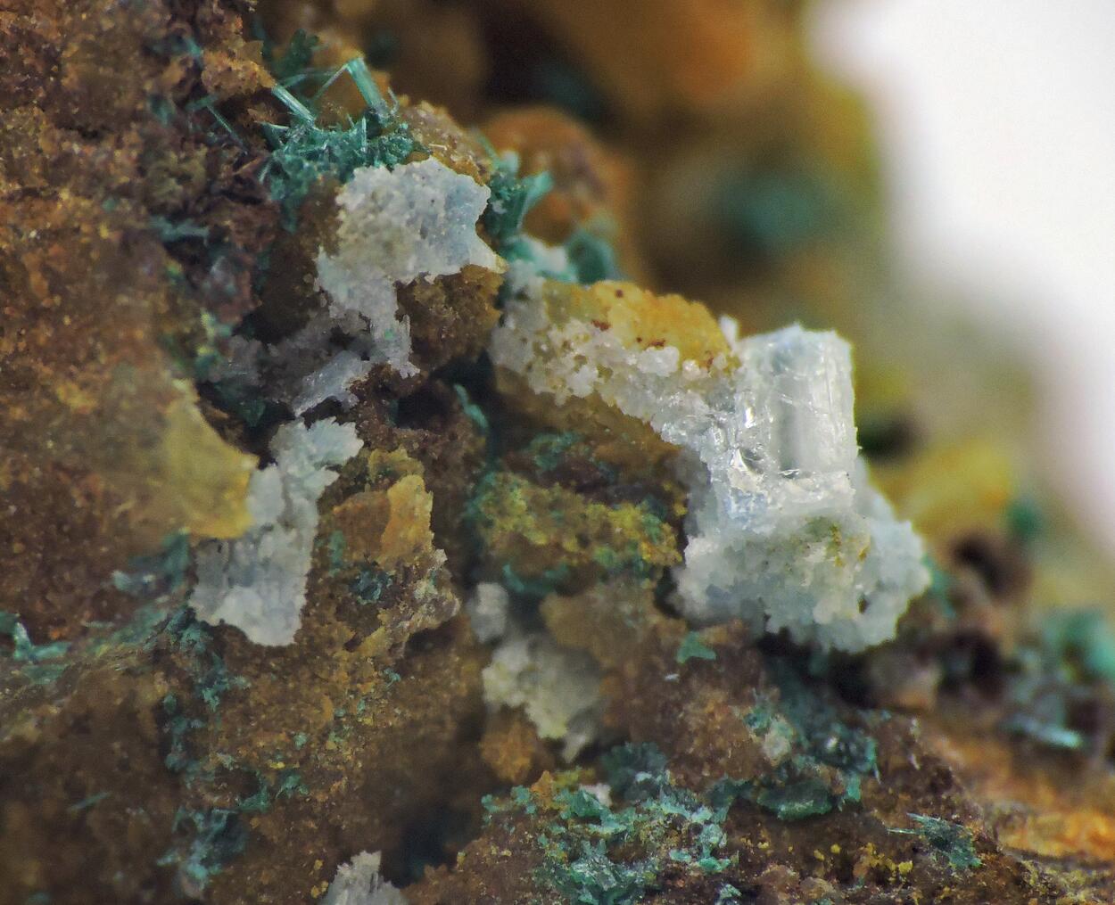 Leadhillite & Brochantite