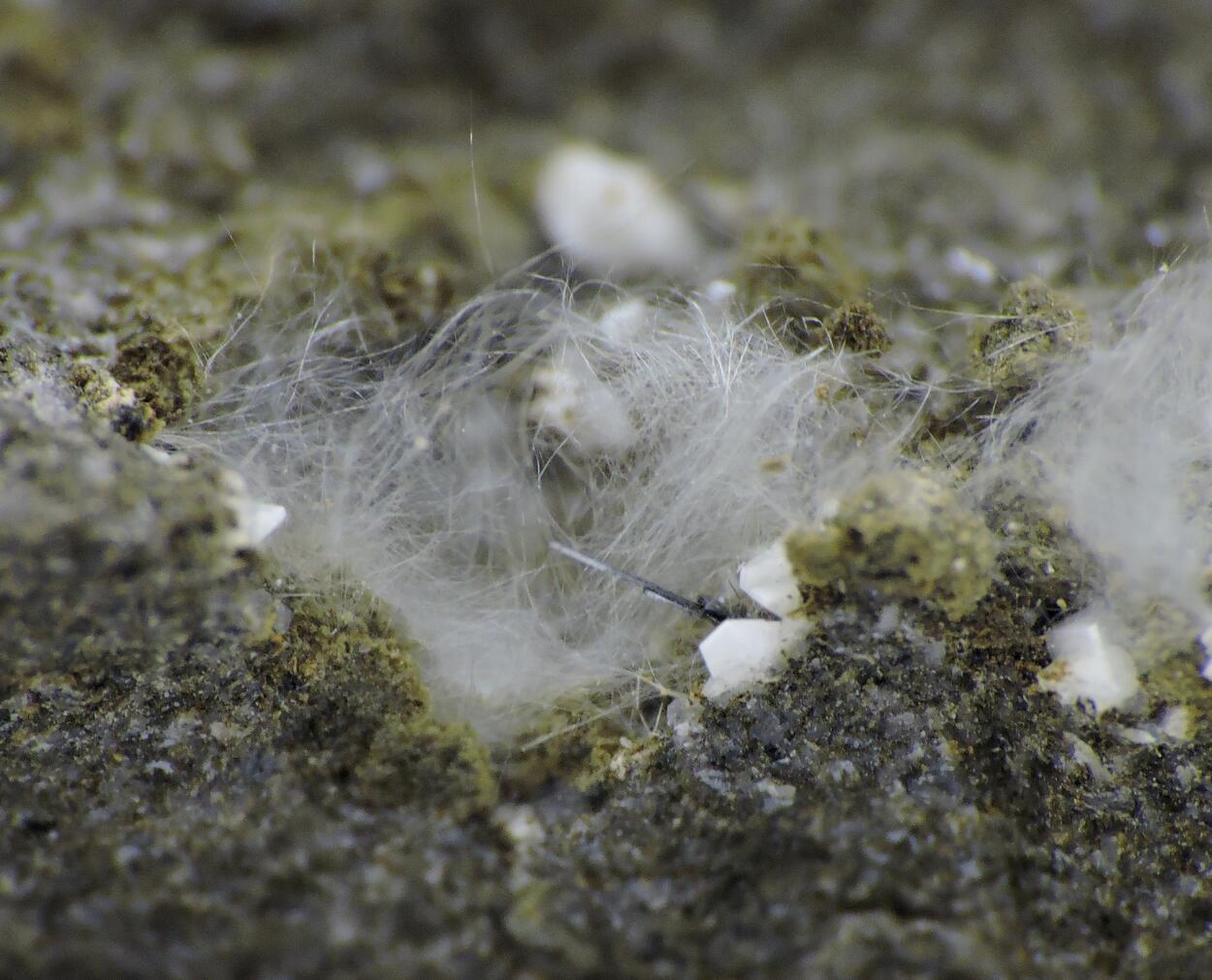 Datolite On Mordenite