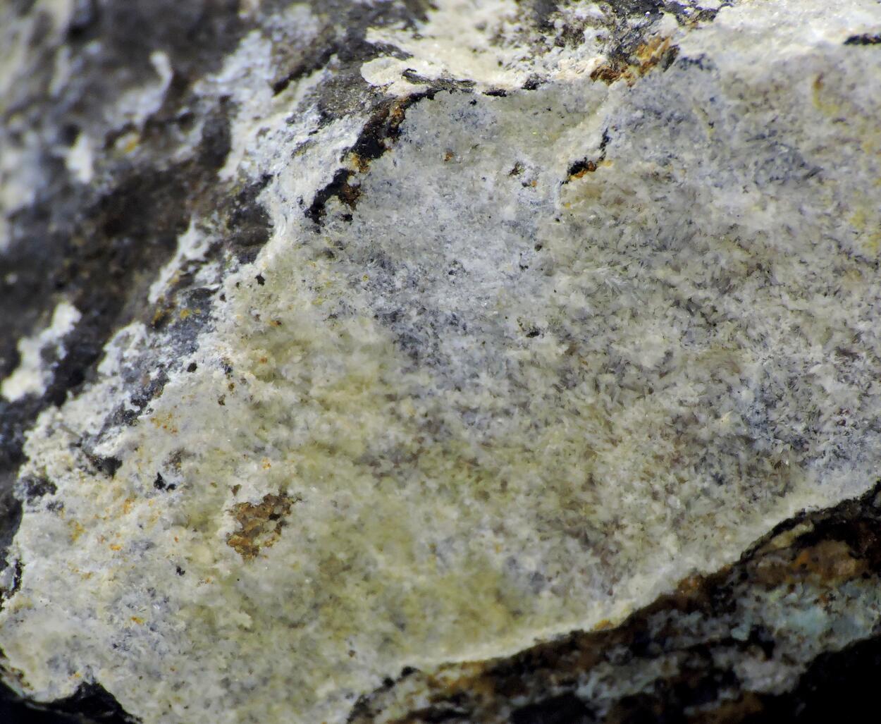 Montgomeryite
