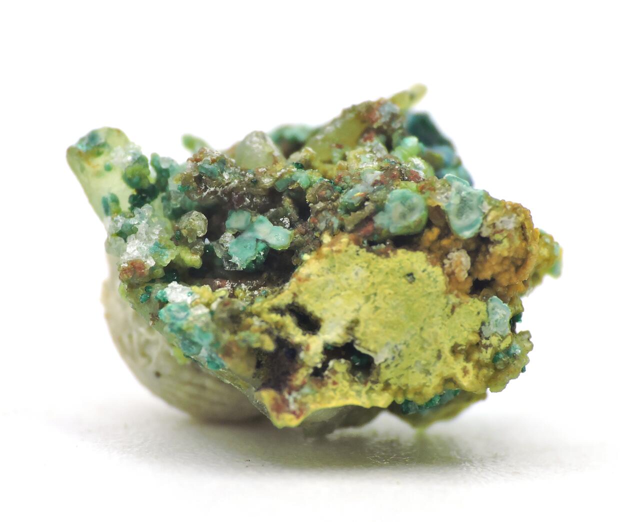 Celadonite With Leadhillite