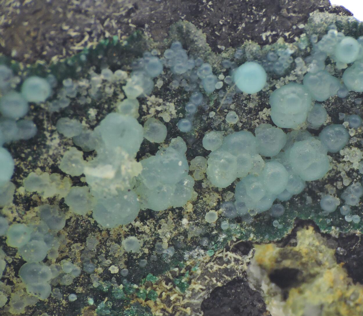 Fluorapatite