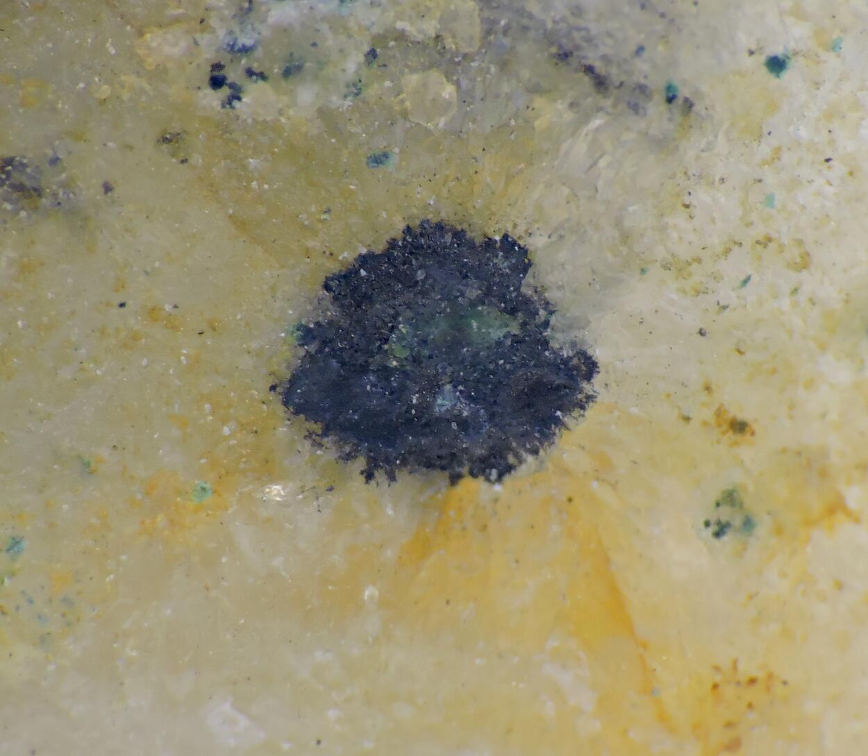 Hessite With Acanthite