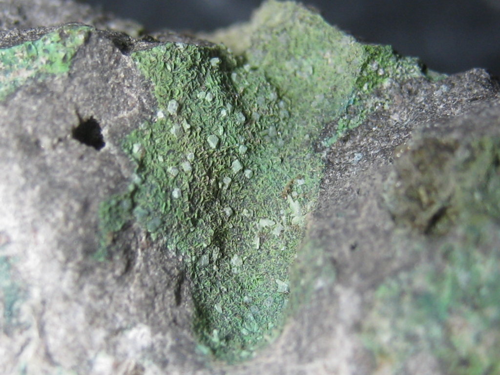 Atacamite & Volborthite