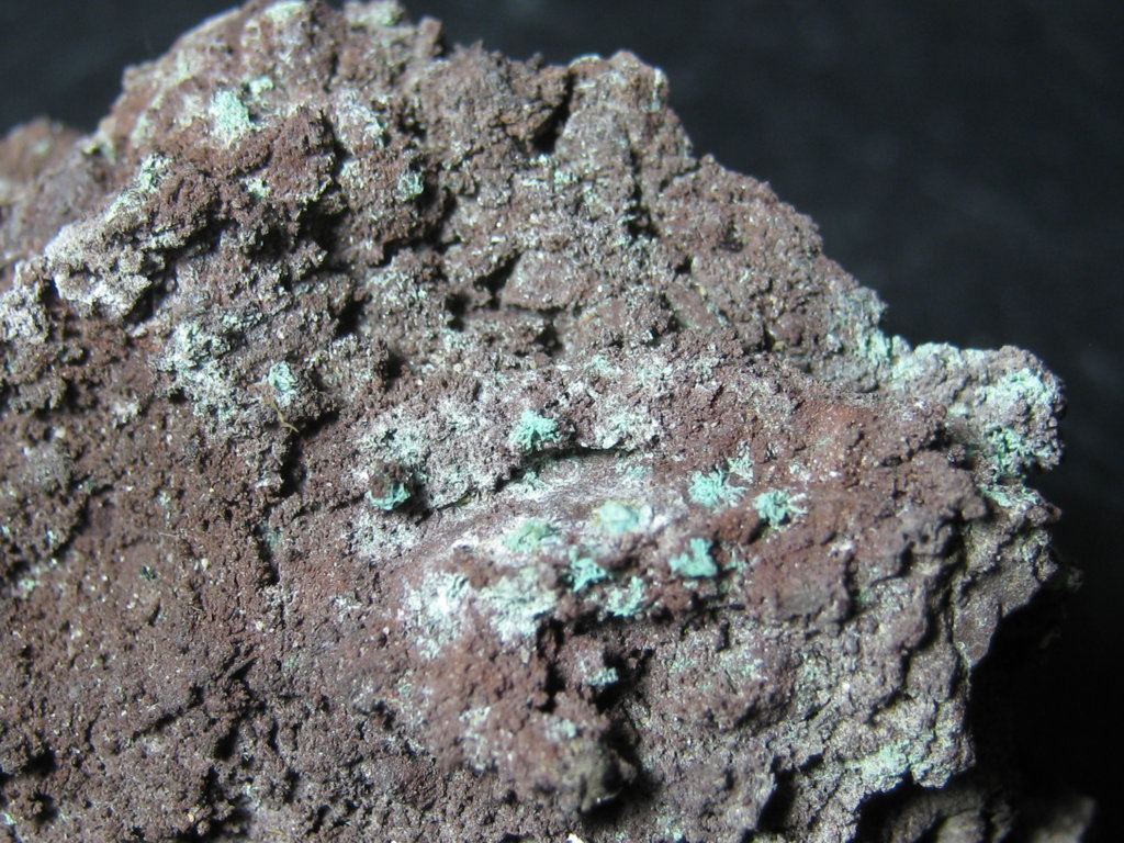 Paratacamite