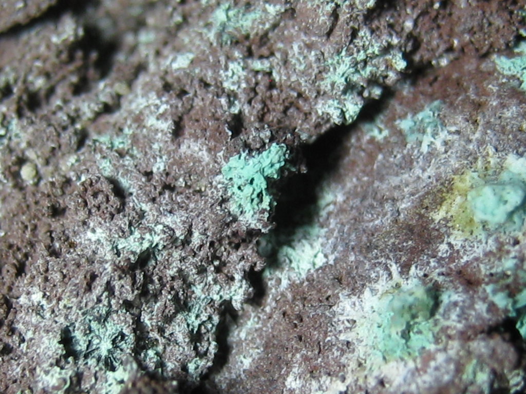 Paratacamite