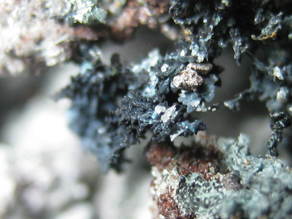 Tenorite Caledonite & Cerussite