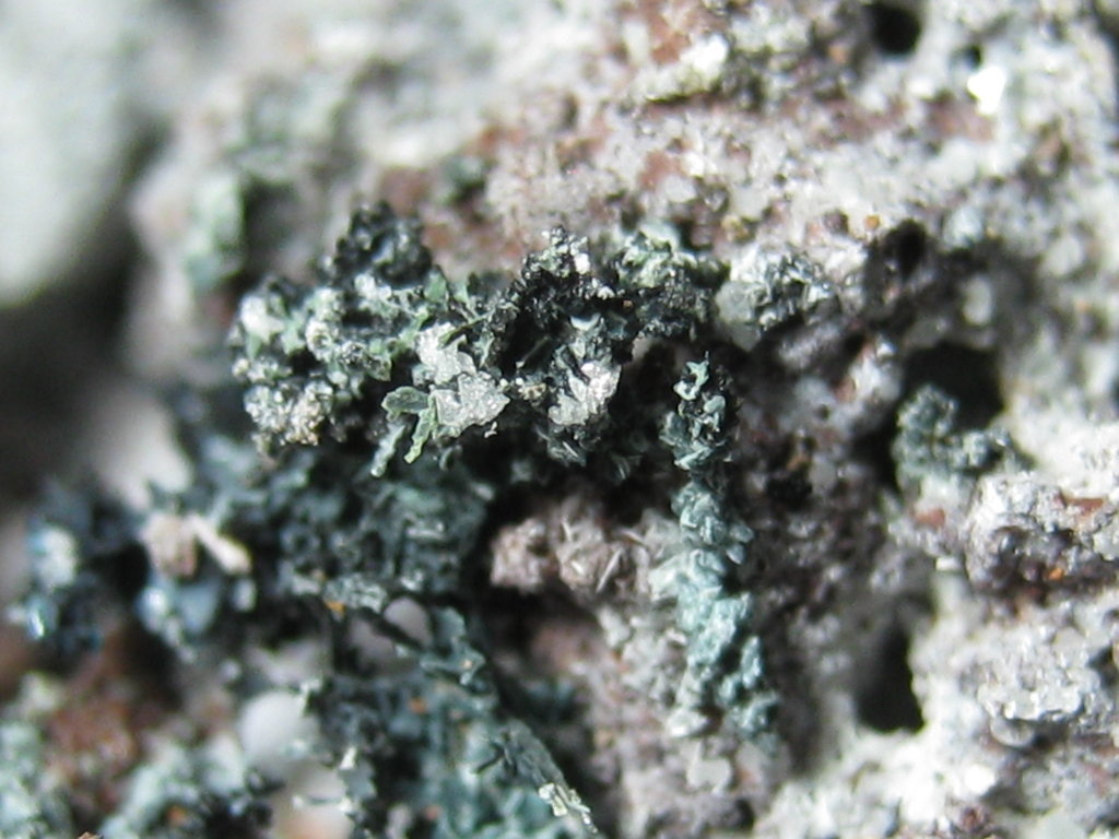 Tenorite Caledonite & Cerussite