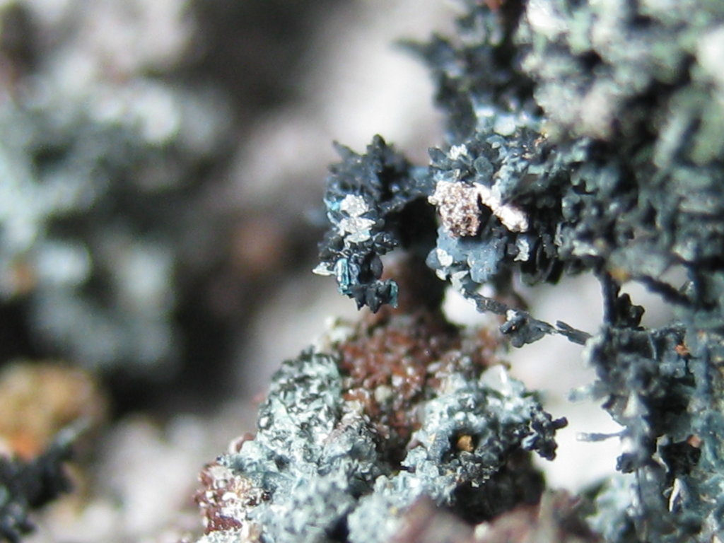 Tenorite Caledonite & Cerussite