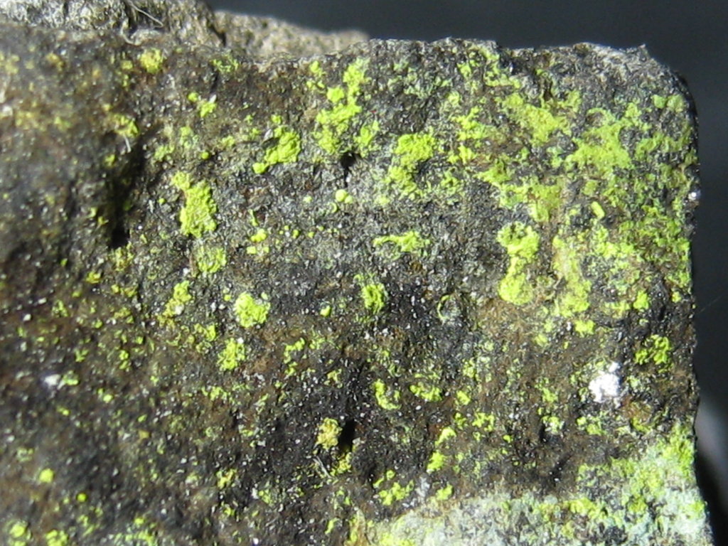 Volborthite & Hausmannite