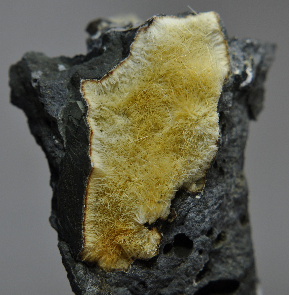 Natrolite