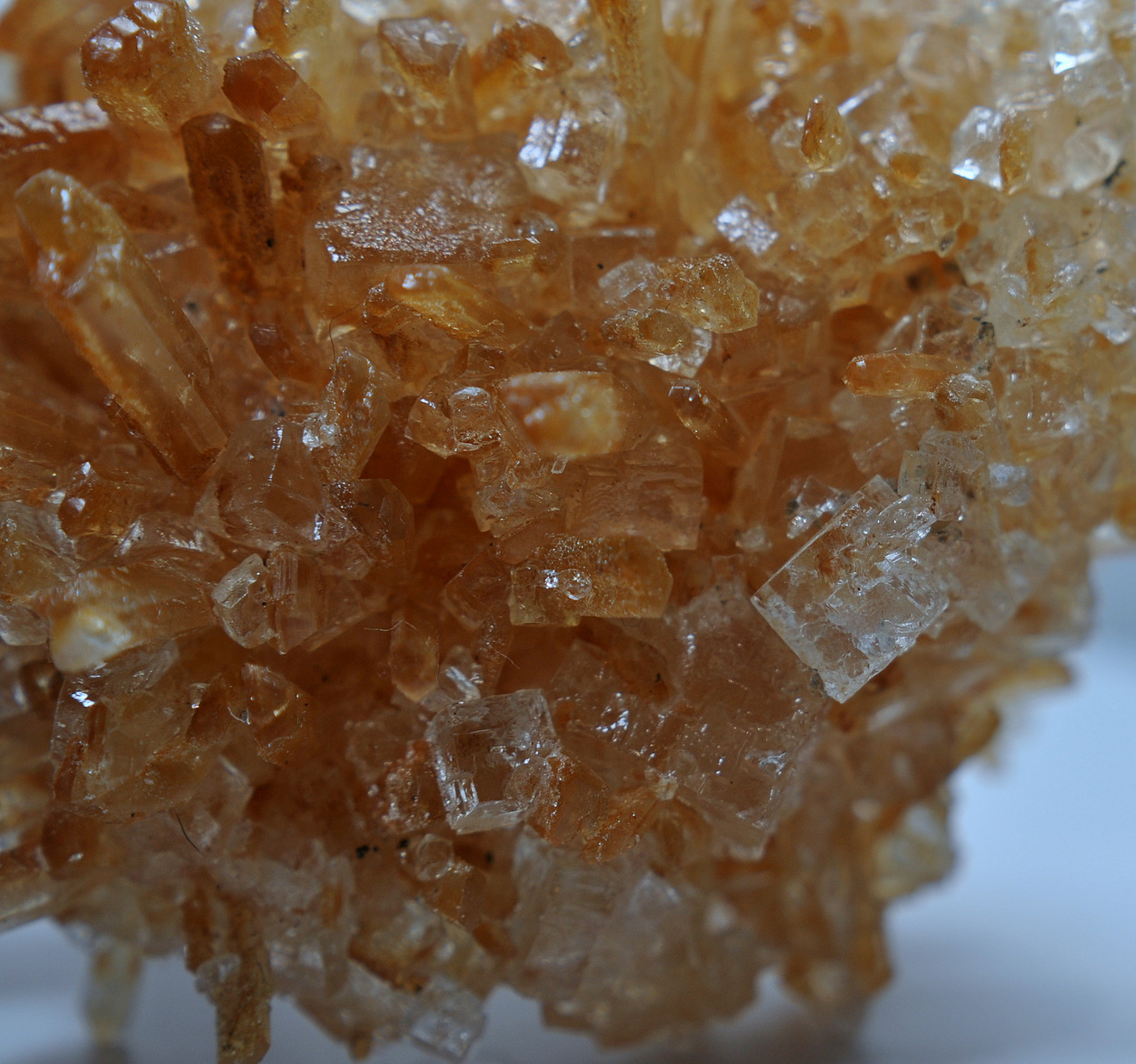 Gypsum & Halite