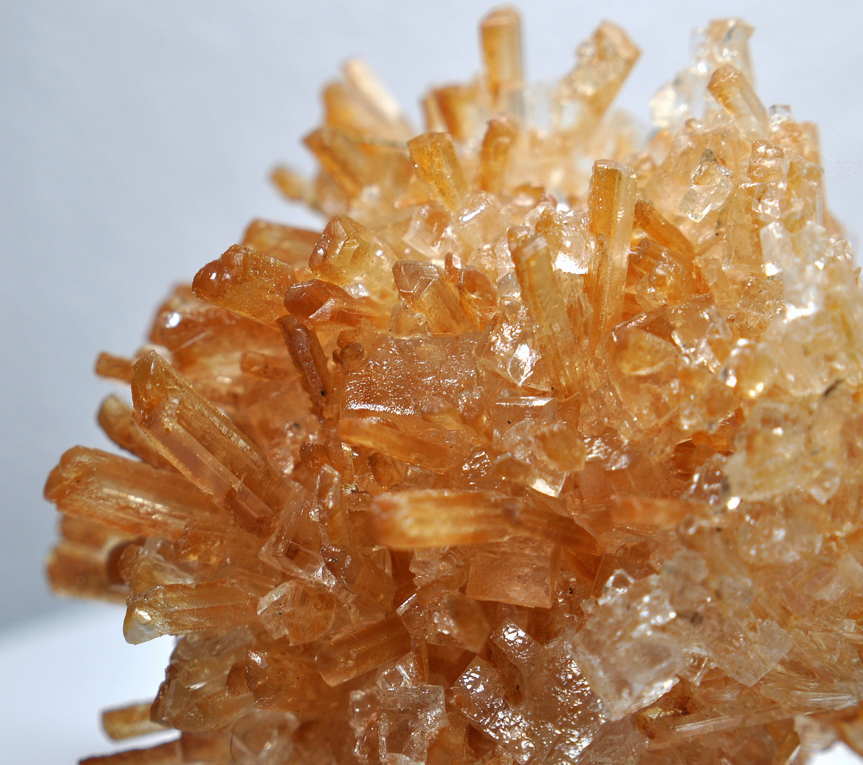 Gypsum & Halite