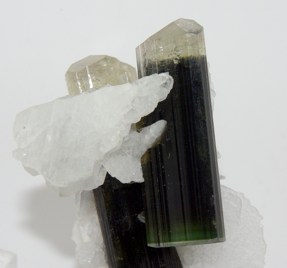 Elbaite Tourmaline In Albite