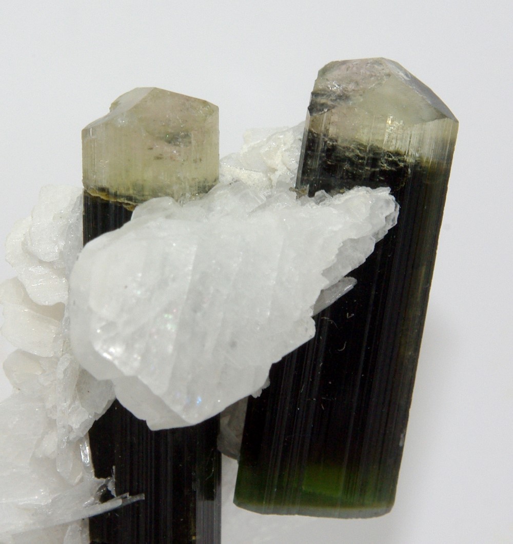 Elbaite Tourmaline In Albite