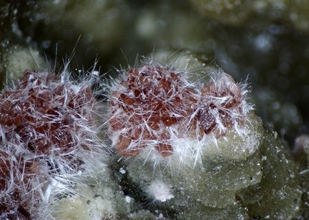 Szomolnokite Römerite Kornelite Halotrichite Coquimbite & Voltaite