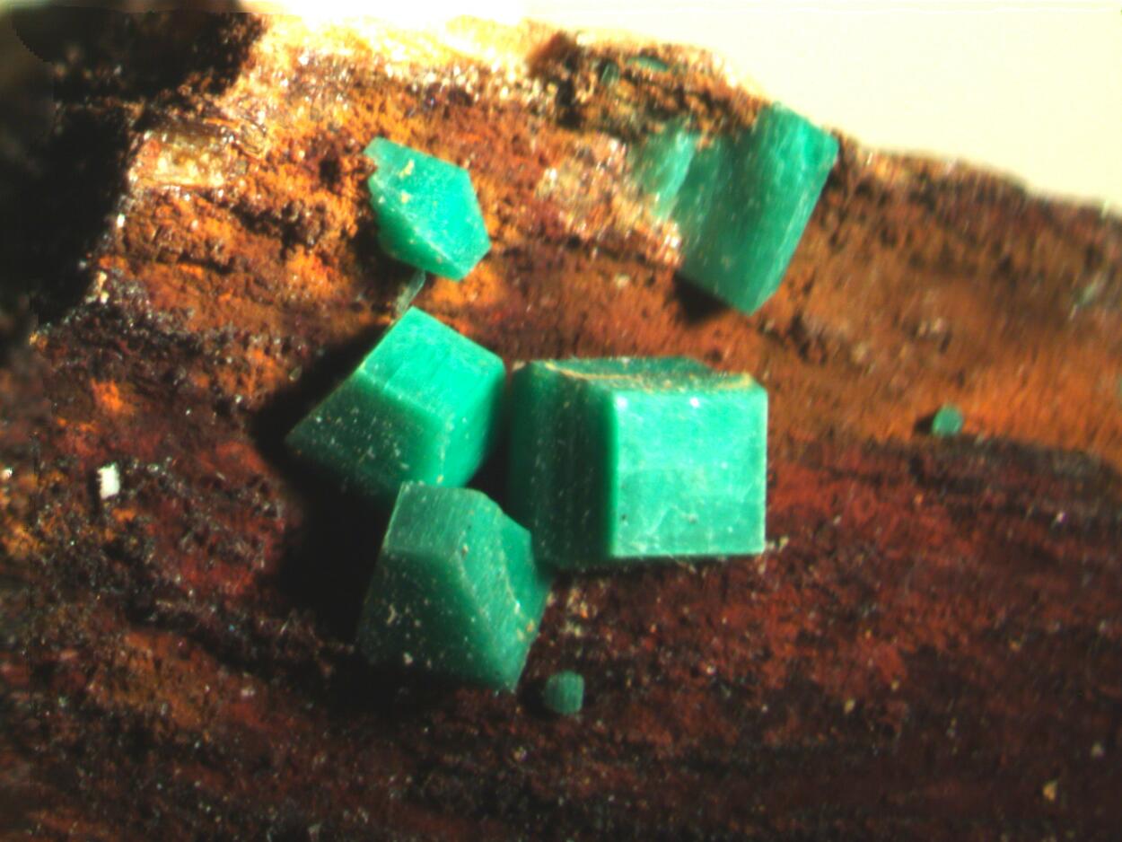 Metatorbernite