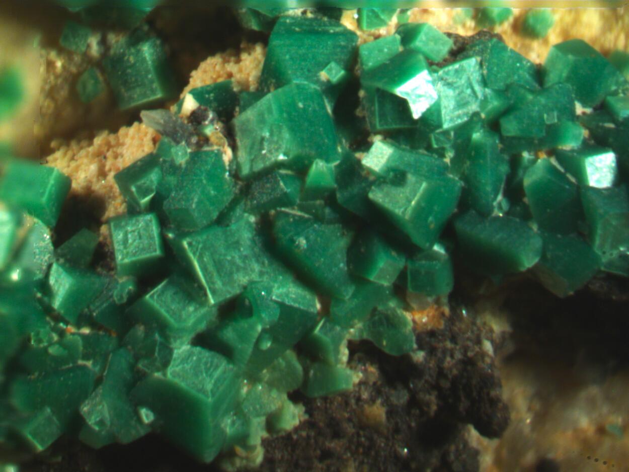 Metatorbernite