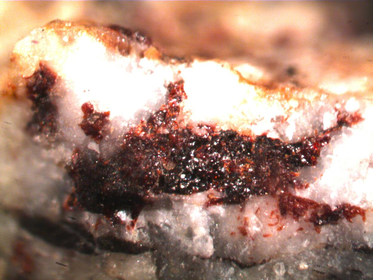 Gamagarite
