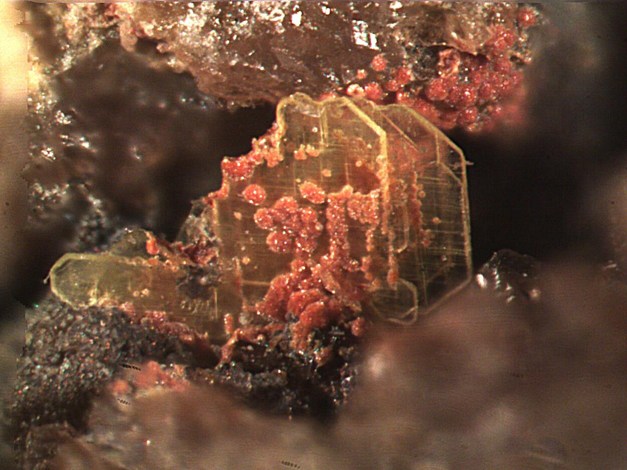 Heinrichite & Arseniosiderite