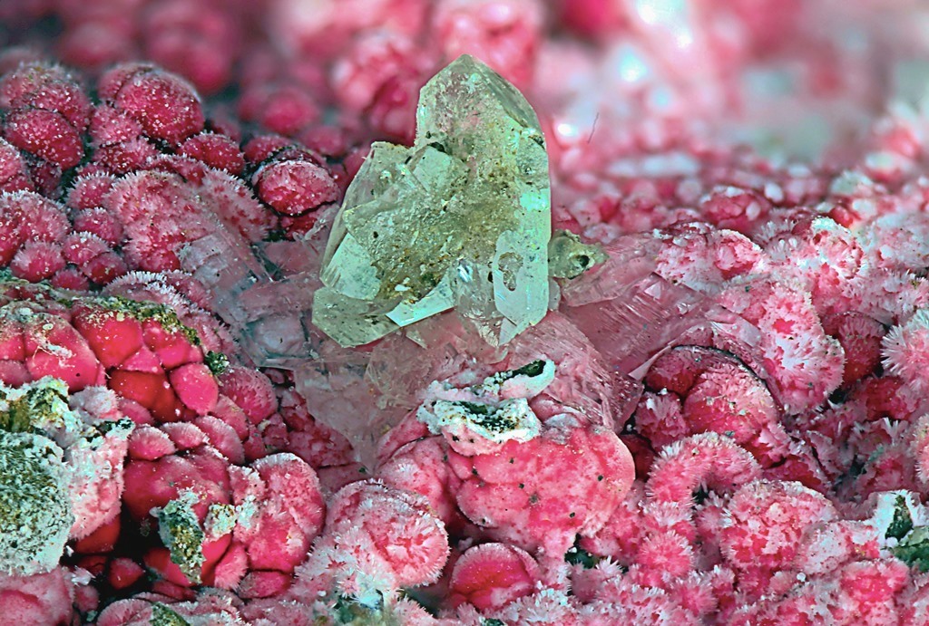 Picropharmacolite Guérinite & Erythrite