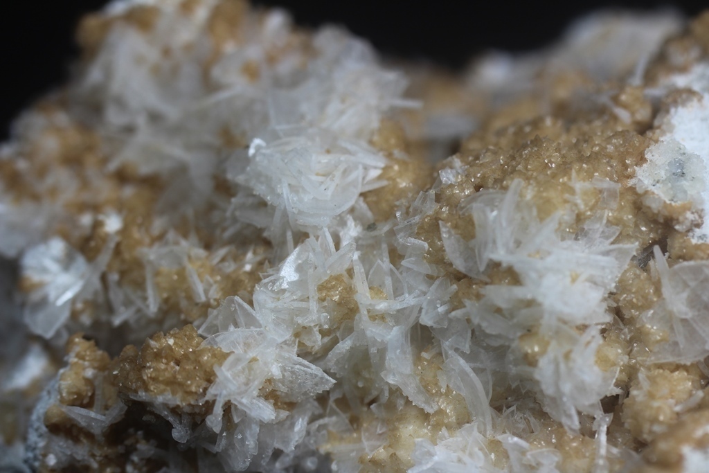 Anhydrite & Dolomite