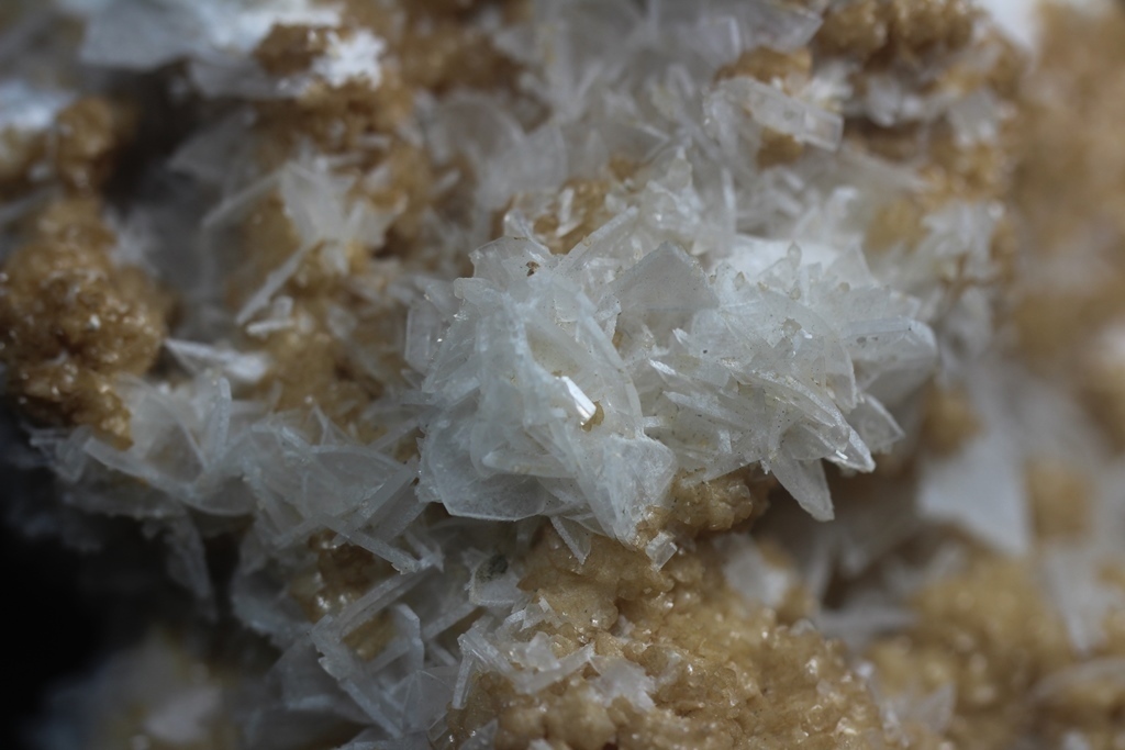 Anhydrite & Dolomite