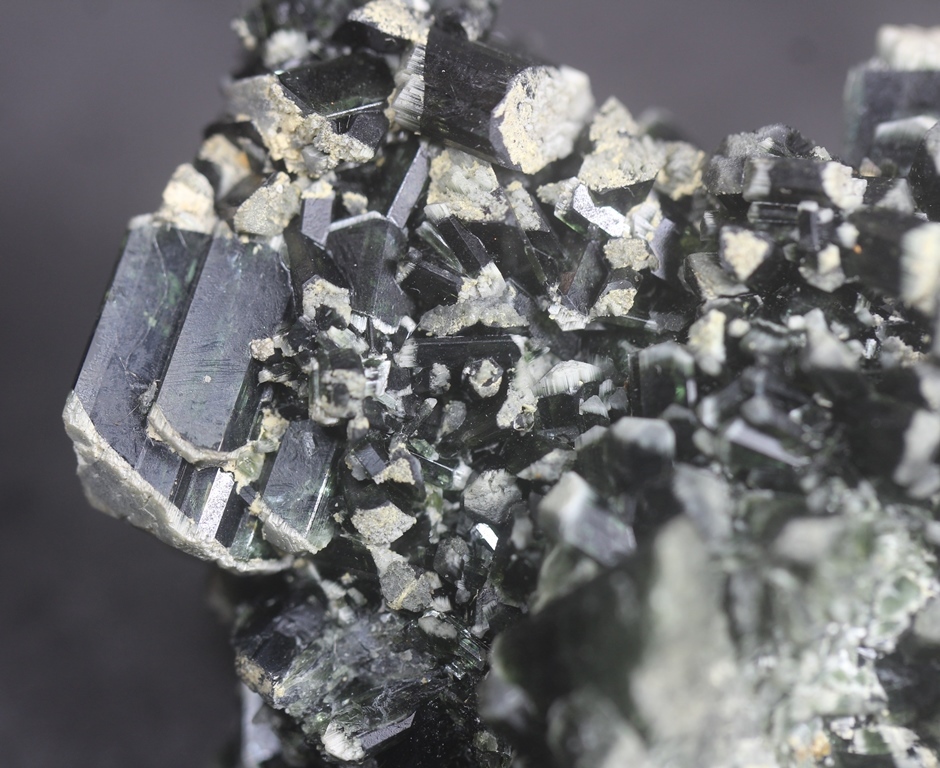 Actinolite