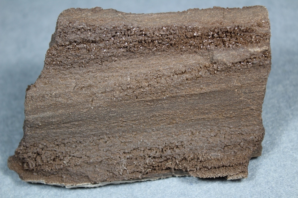 Quartz Psm Fossil Wood