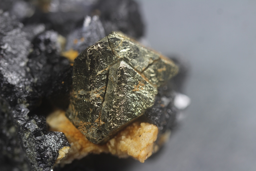 Pyrite & Magnetite