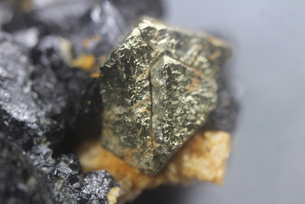 Pyrite & Magnetite