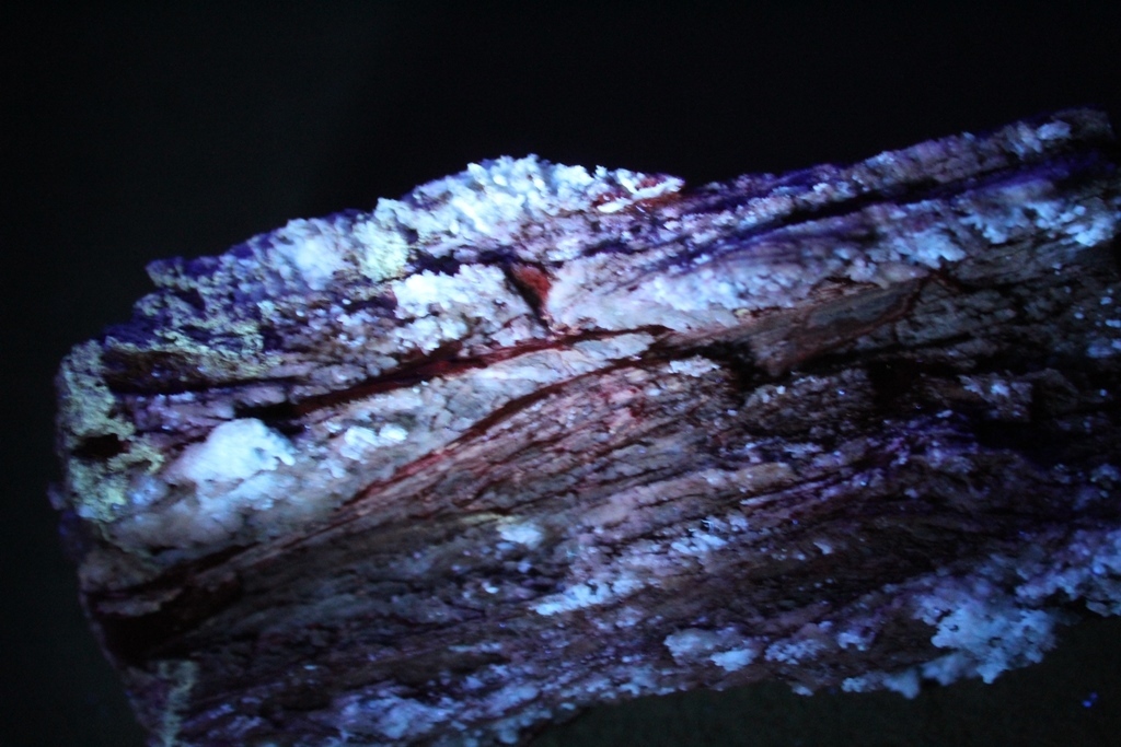 Chalcedony Psm Fossil Wood