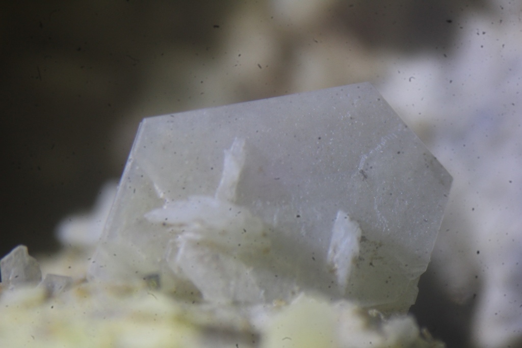 Quartz Psm Tridymite