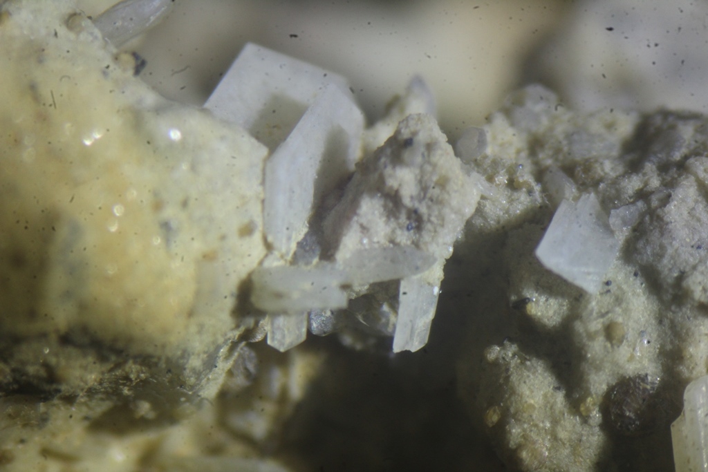 Quartz Psm Tridymite