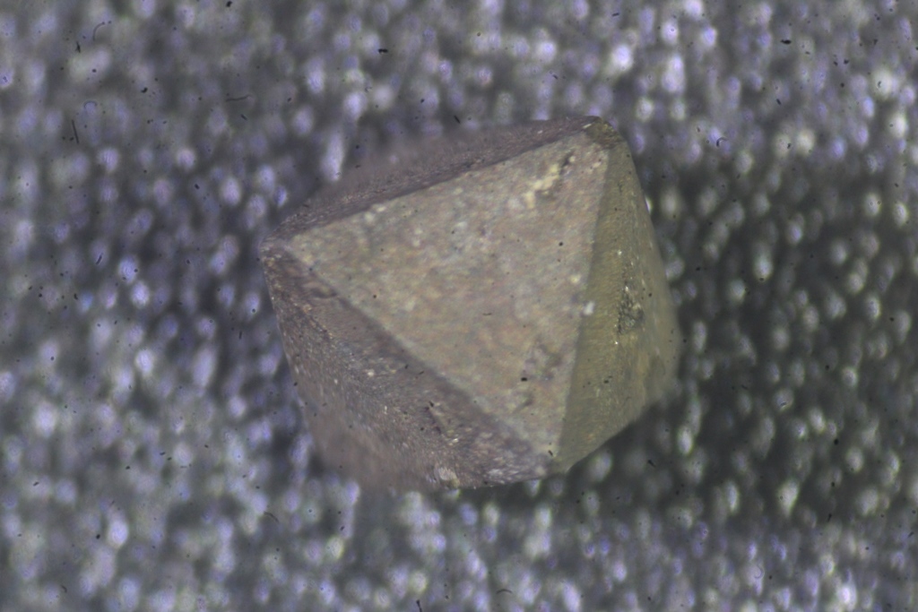 Hauerite