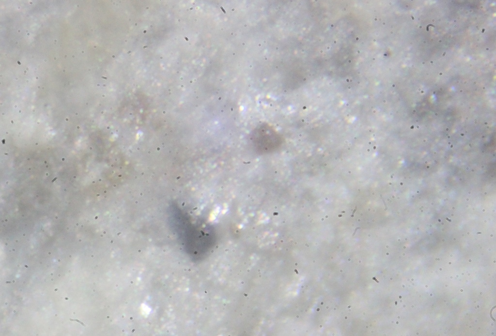 Morimotoite & Perovskite