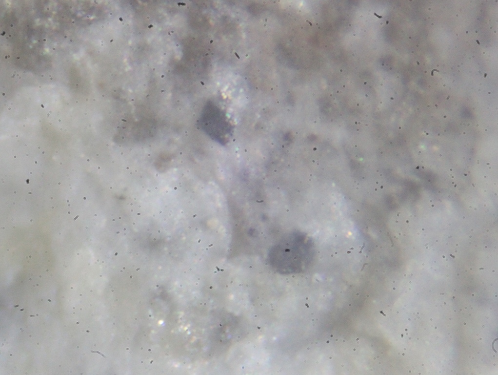 Morimotoite & Perovskite