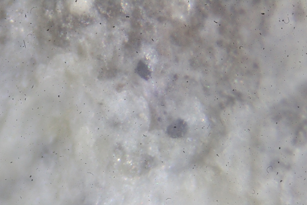 Morimotoite & Perovskite