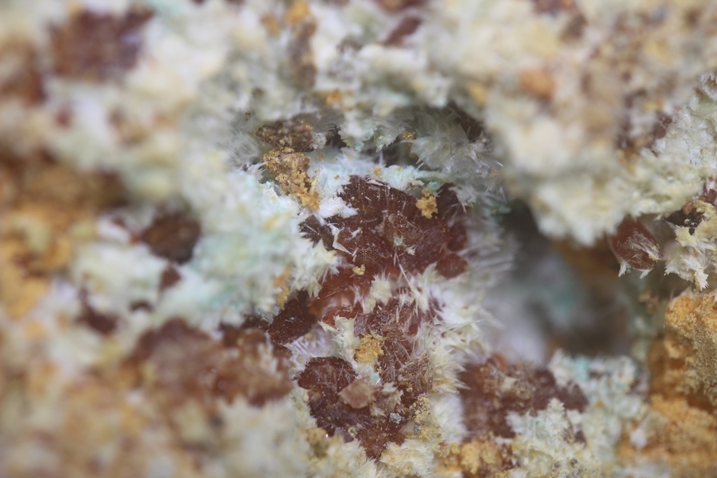 Botryogen & Halotrichite