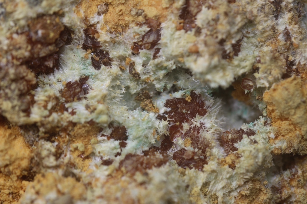 Botryogen & Halotrichite